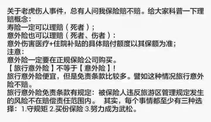 不守规矩，你就要努力成为武松！这个你行吗？